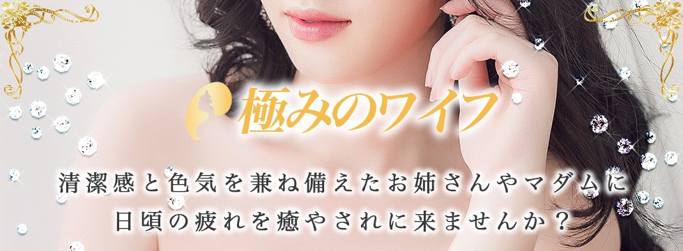 極みのワイフはこちら